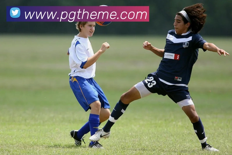 多媒体互动体验